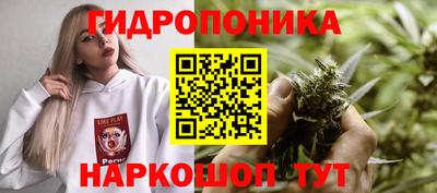 ГАЛЛЮЦИНОГЕННЫЕ ГРИБЫ Ставрополь