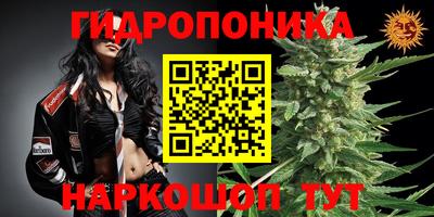 гашик Среднеуральск