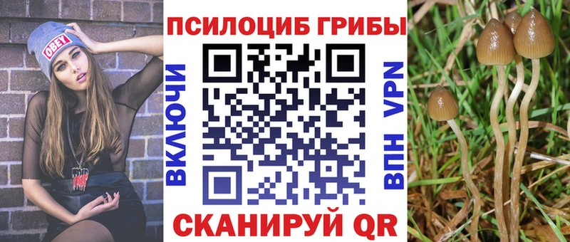 Галлюциногенные грибы MAGIC MUSHROOMS  купить наркотики сайты  Славянск-на-Кубани 