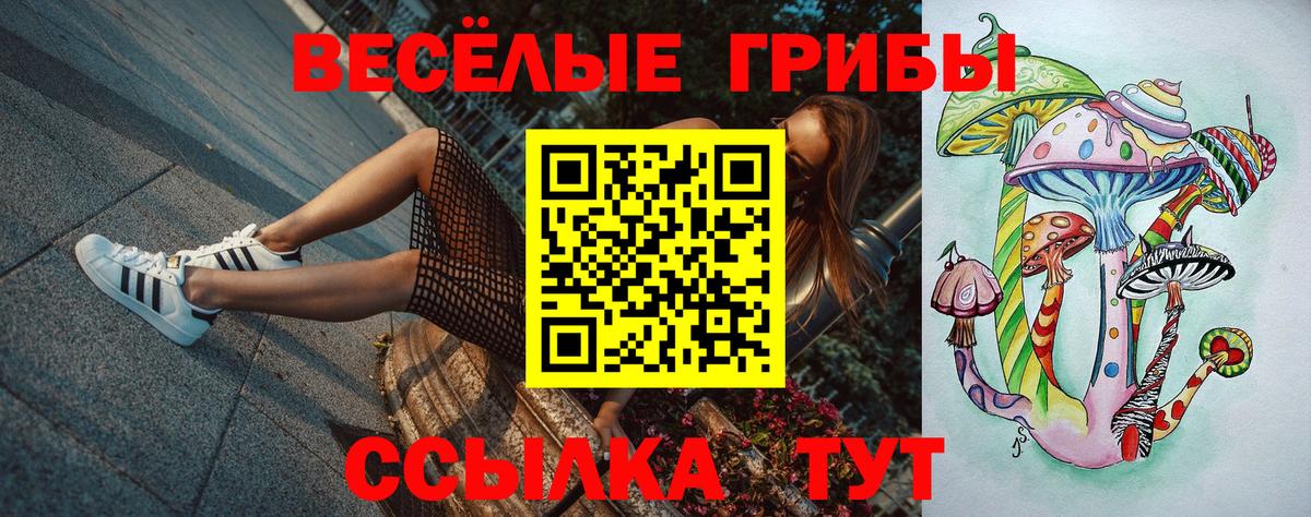 Галлюциногенные грибы мицелий Славянск-на-Кубани