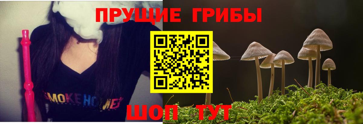 Славянск-на-Кубани  Псилоцибиновые грибы MAGIC MUSHROOMS  Вход с VPN  Псилоцибиновые грибы Psilocybine cubensis 